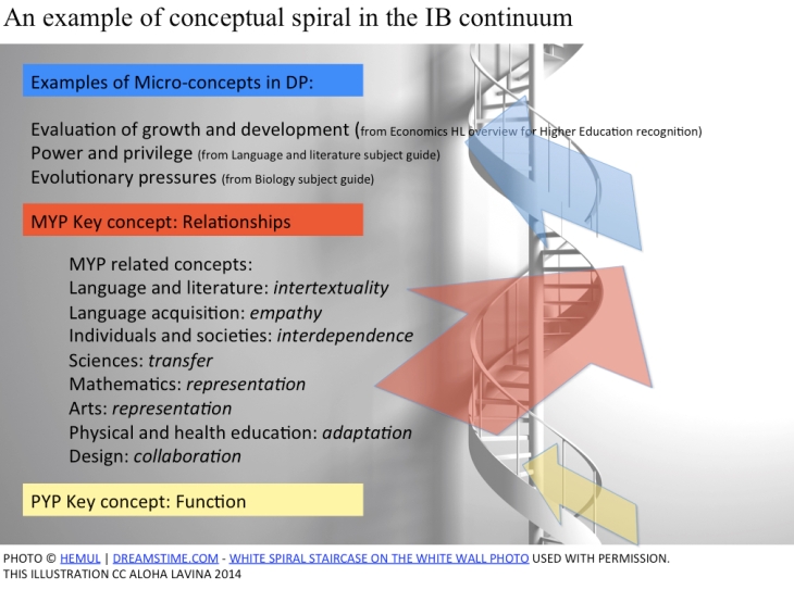 The conceptual spiral in the IB continuum