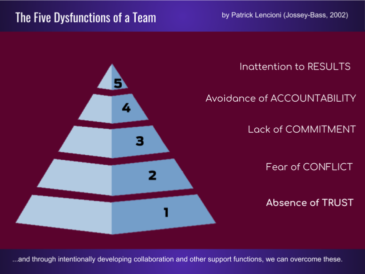 Dysfunctional Teams by Patrick Lencioni